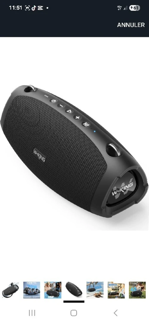 Baffe W-KING (120W Max)