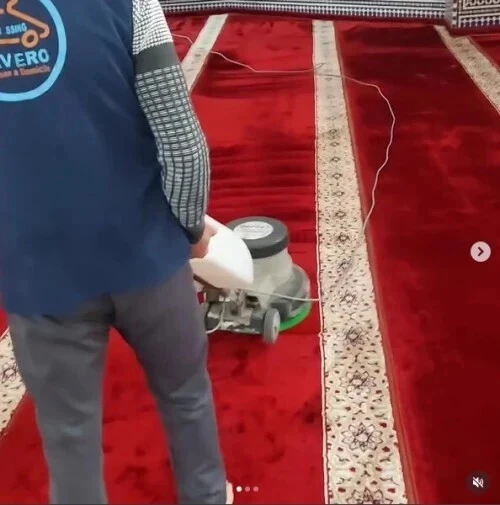 Entreprise de nettoyage de moquette à Alger, détachage et désinfection professionnelle, Société de nettoyage fin de chantier, nettoyage des façades et vitres, vitrage, désinfection, désinsectisation..