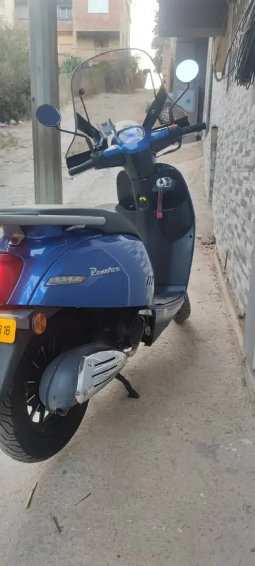 Benelli Panarea 2023