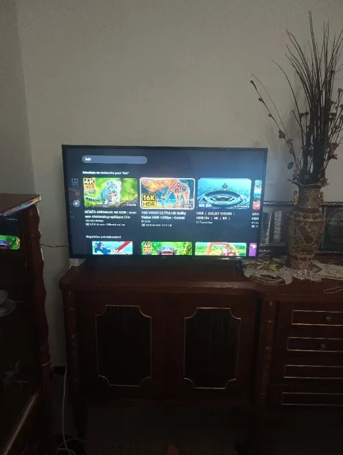 Télévision LG 43 pouce