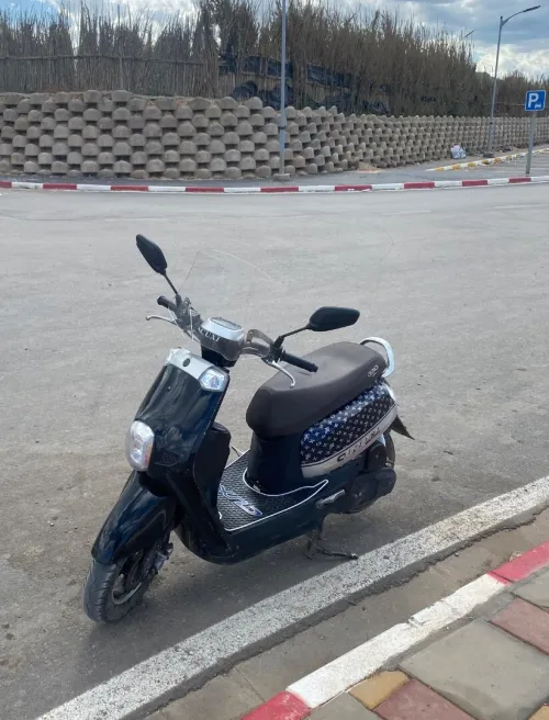 Okinoi Cuxi 1 2019