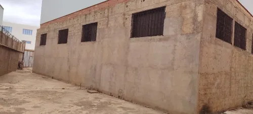 Vente Hangar - Usine Oran Oued tlelat