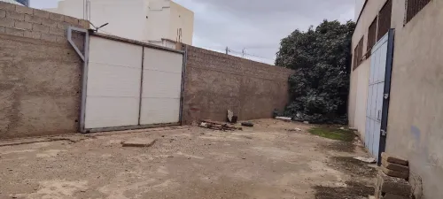 Vente Hangar - Usine Oran Oued tlelat