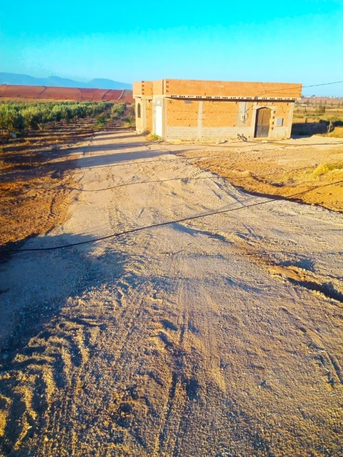 Vente Villa Tlemcen Marsa ben mhidi