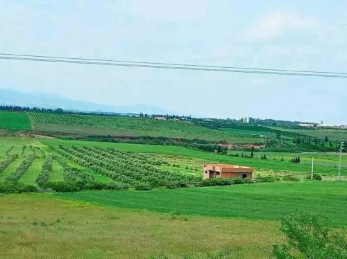 Vente Villa Tlemcen Marsa ben mhidi