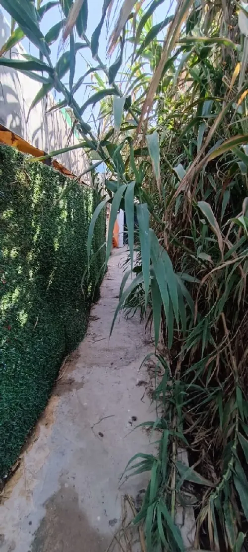 Location vacances Appartement F2 Alger Hraoua