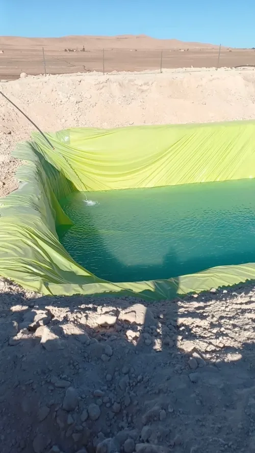 Vente Terrain Agricole Djelfa Benhar