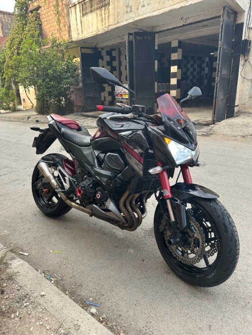 Kawasaki Z800R sugomi 2016