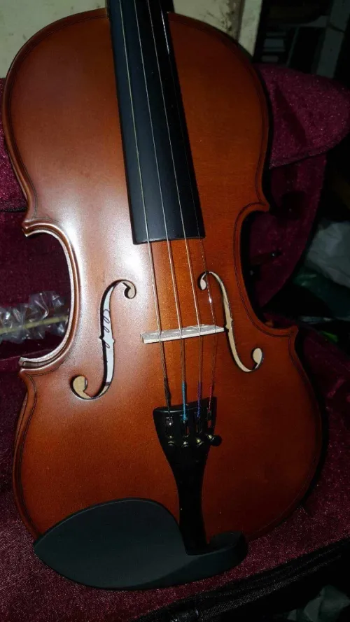 Violon 4/4