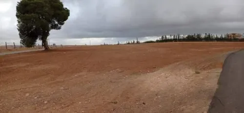 Vente Terrain Sidi Bel Abbès Amarnas