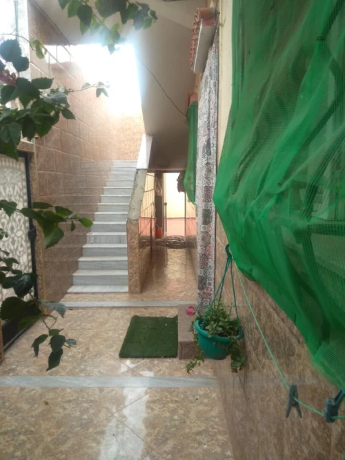 Vente Appartement Blida Blida