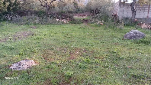 Vente Terrain Tizi Ouzou Mechtrass