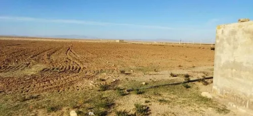 Vente Terrain Agricole Msila Zerarka