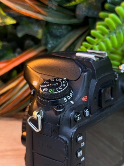 Nikon D600