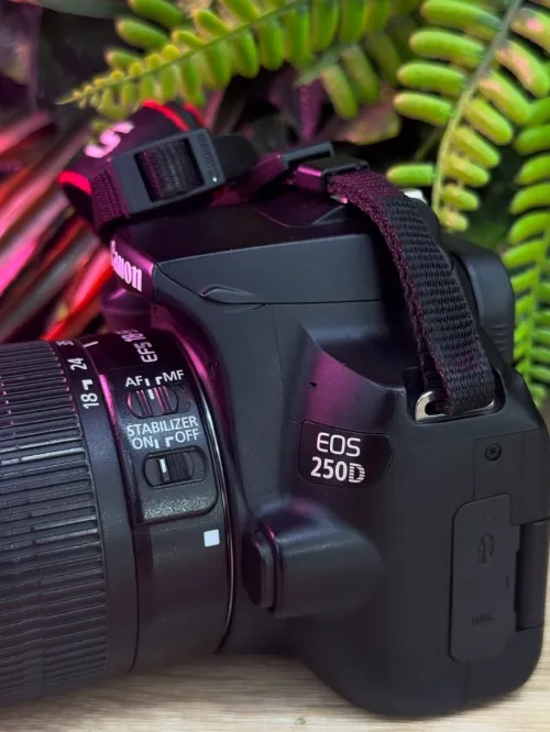 Canon 250D