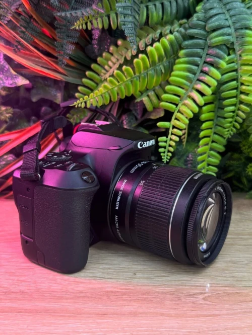 Canon 250D
