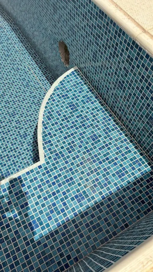 Fourniture et Pose des Piscines 
