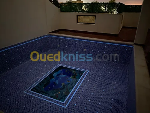 Fourniture et Pose des Piscines 