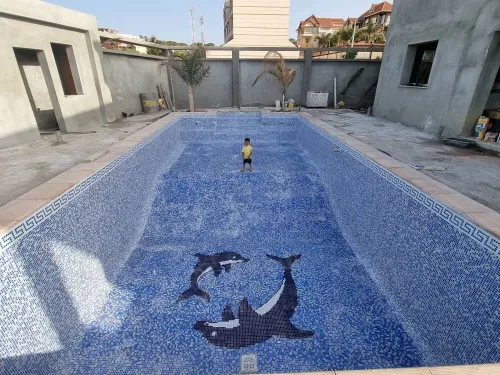Construction des Piscines