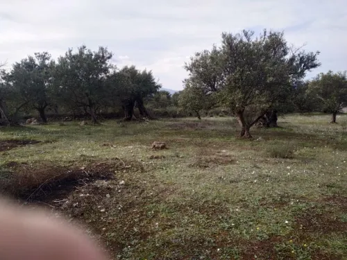 Vente Terrain Tizi ouzou Boghni