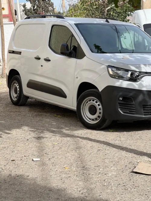 Fiat Doblo 2023 Commercial