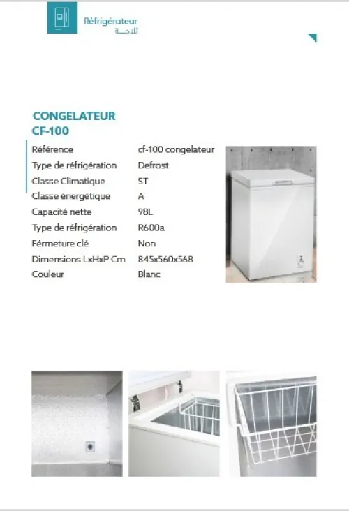 PROMO CONGELATEUR IRIS CF 100L 
