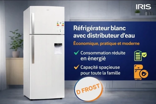 REFRIGERATEUR IRIS BCD 480 D FROST