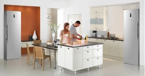 REFRIGIRATEUR IRIS TWIN IR-BCD 455+TN338