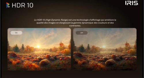 IRIS 55"M8020 4K MINILED GOOGLE TV 120HZ