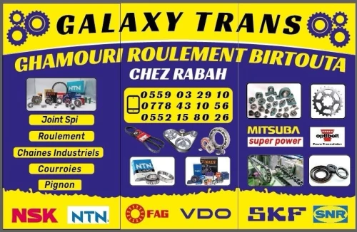 Roulement couroies joint spi pali chai