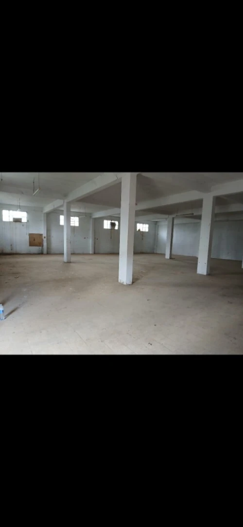 Location Hangar - Usine Alger Tessala el merdja
