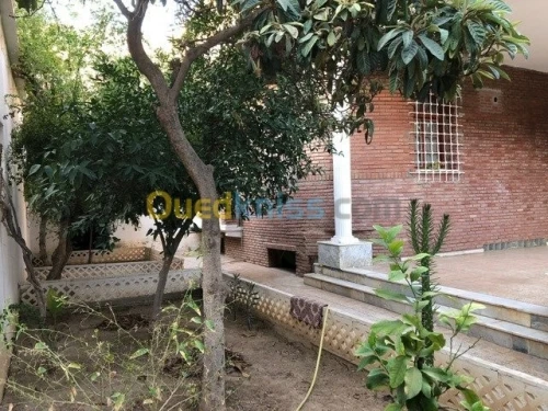 Vente Villa Msila Msila