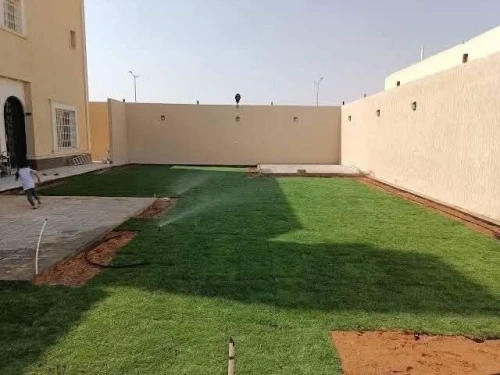 Gazon naturel عشب طبيعي