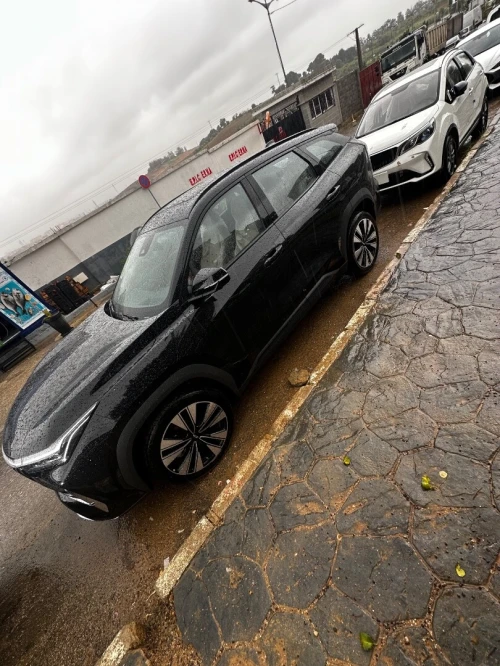 Geely Starray 2026 L