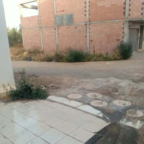 Vente Terrain Tlemcen Tlemcen