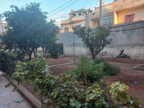 Vente Villa Tlemcen Hennaya