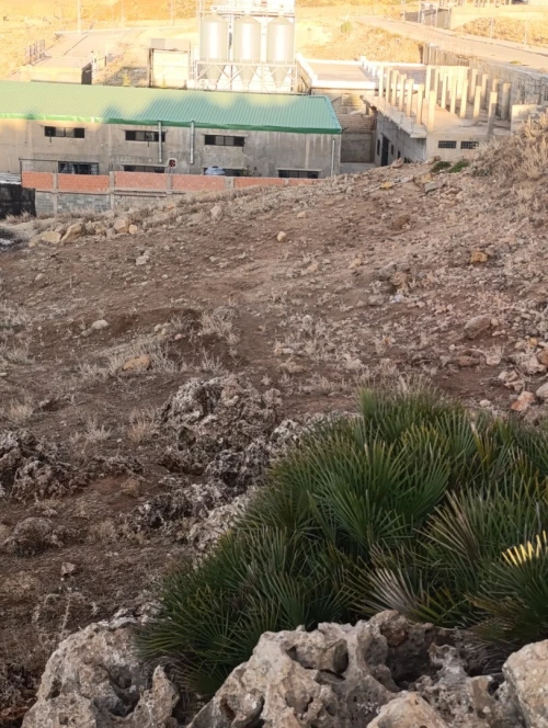 Vente Terrain Tlemcen Tirni beni hediel