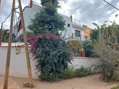 Vente Villa Tlemcen Tlemcen