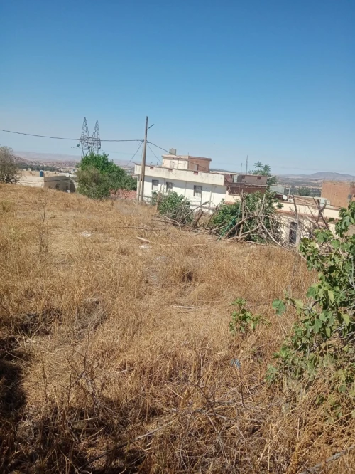 Vente Terrain Tlemcen Tlemcen