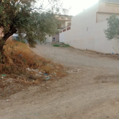 Vente Terrain Tlemcen Tlemcen