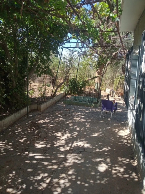 Vente Terrain Tlemcen Tlemcen