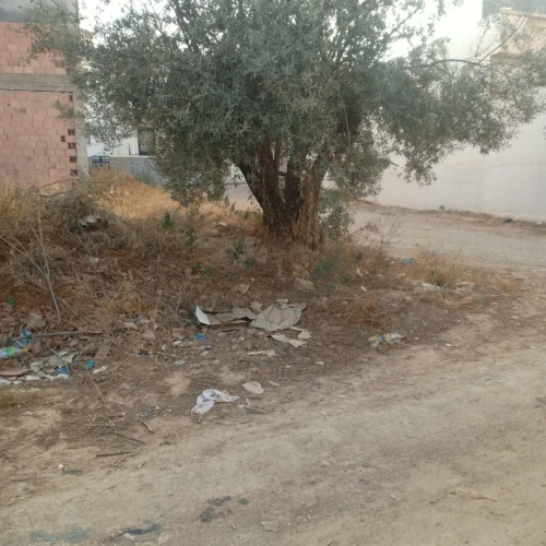 Vente Terrain Tlemcen Tlemcen