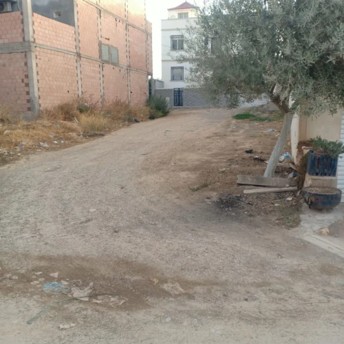 Vente Terrain Tlemcen Tlemcen