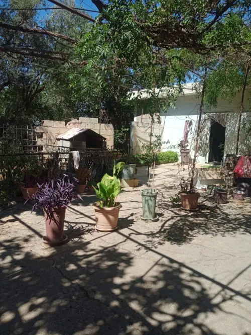 Vente Terrain Tlemcen Tlemcen