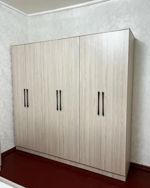 Dressing armoire placard sur mesure moderne
