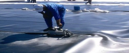 GEOMEMBRANE 