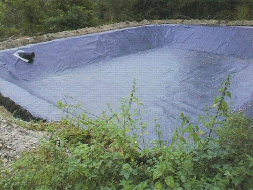 GEOMEMBRANE 