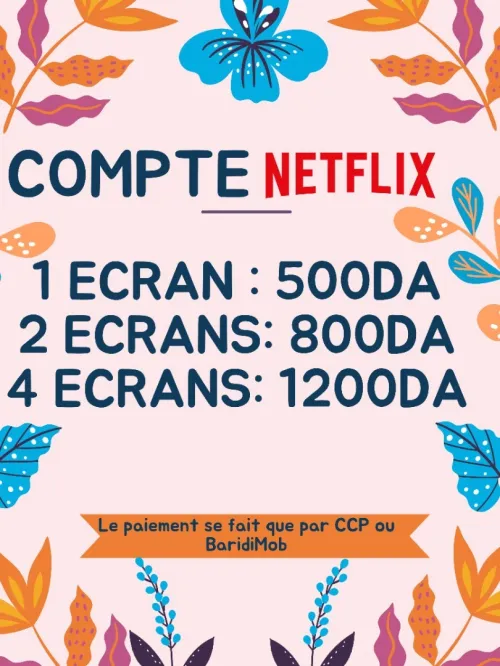 COMPTE NETFLIX