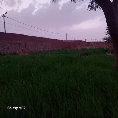 Vente Terrain Timimoun Timimoun