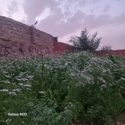 Vente Terrain Timimoun Timimoun